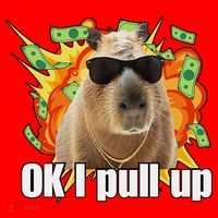 Ok I Pull Up Capybara Funny Meme Santa Hat thumb 1