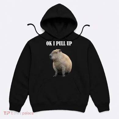 Ok I Pull Up Capybara Funny Hoodie
