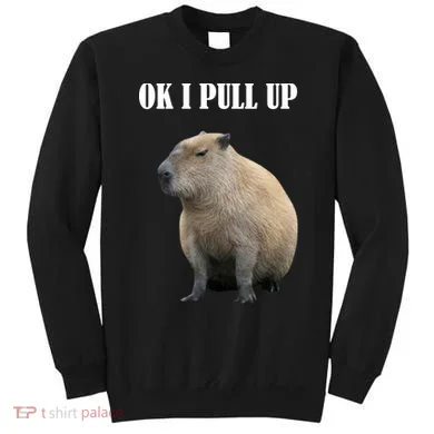 Ok I Pull Up Capybara Funny Sweatshirt