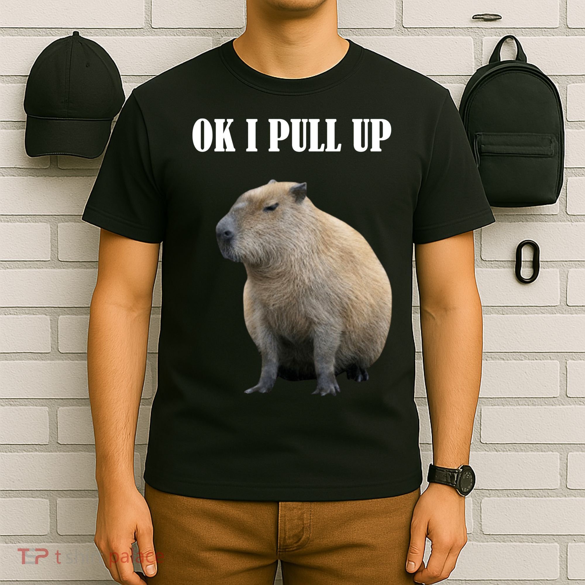Ok I Pull Up Capybara Funny T-Shirt