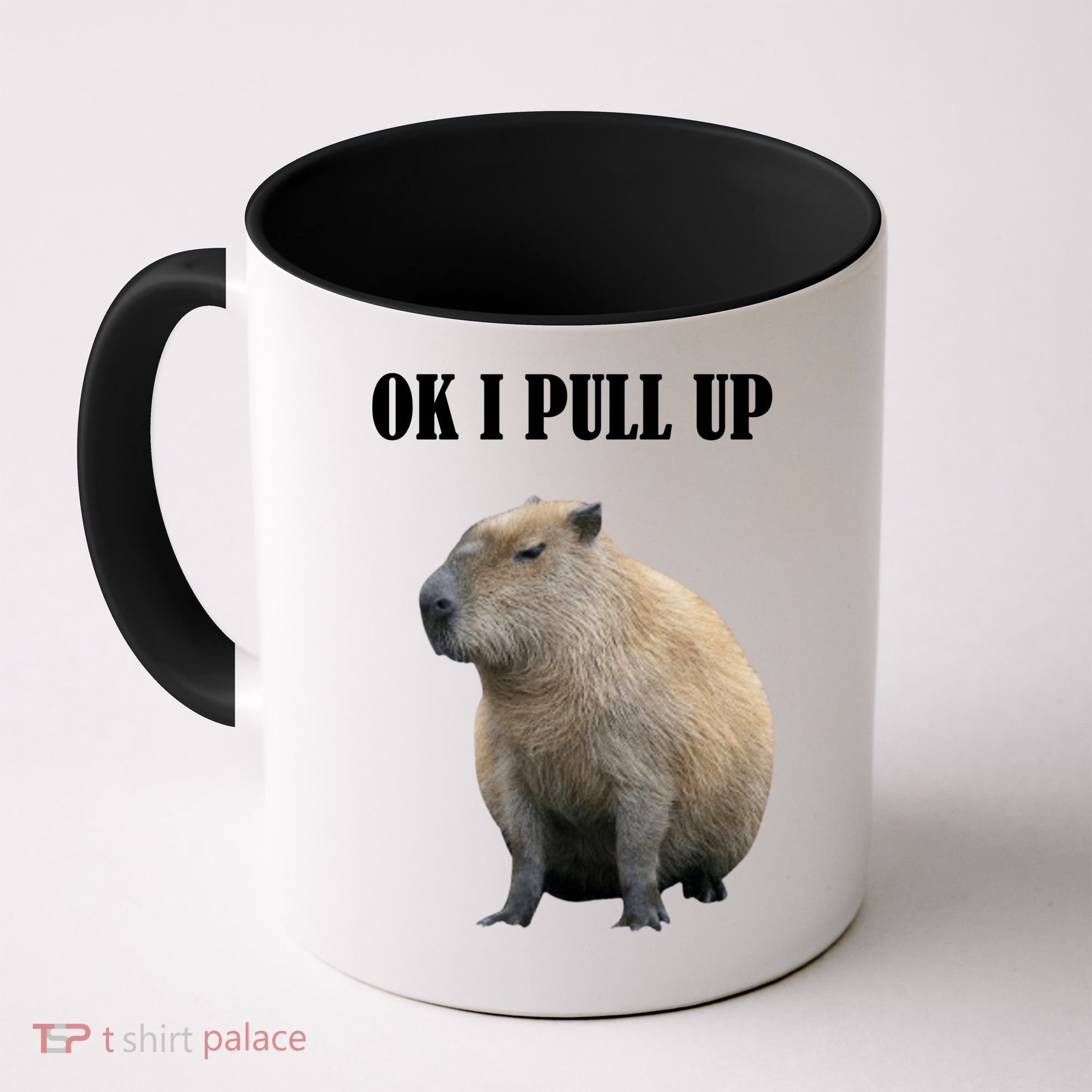 Ok I Pull Up Capybara Funny Coffee Mug