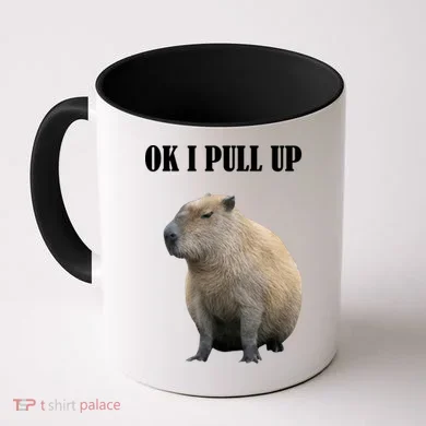 Ok I Pull Up Capybara Funny Coffee Mug