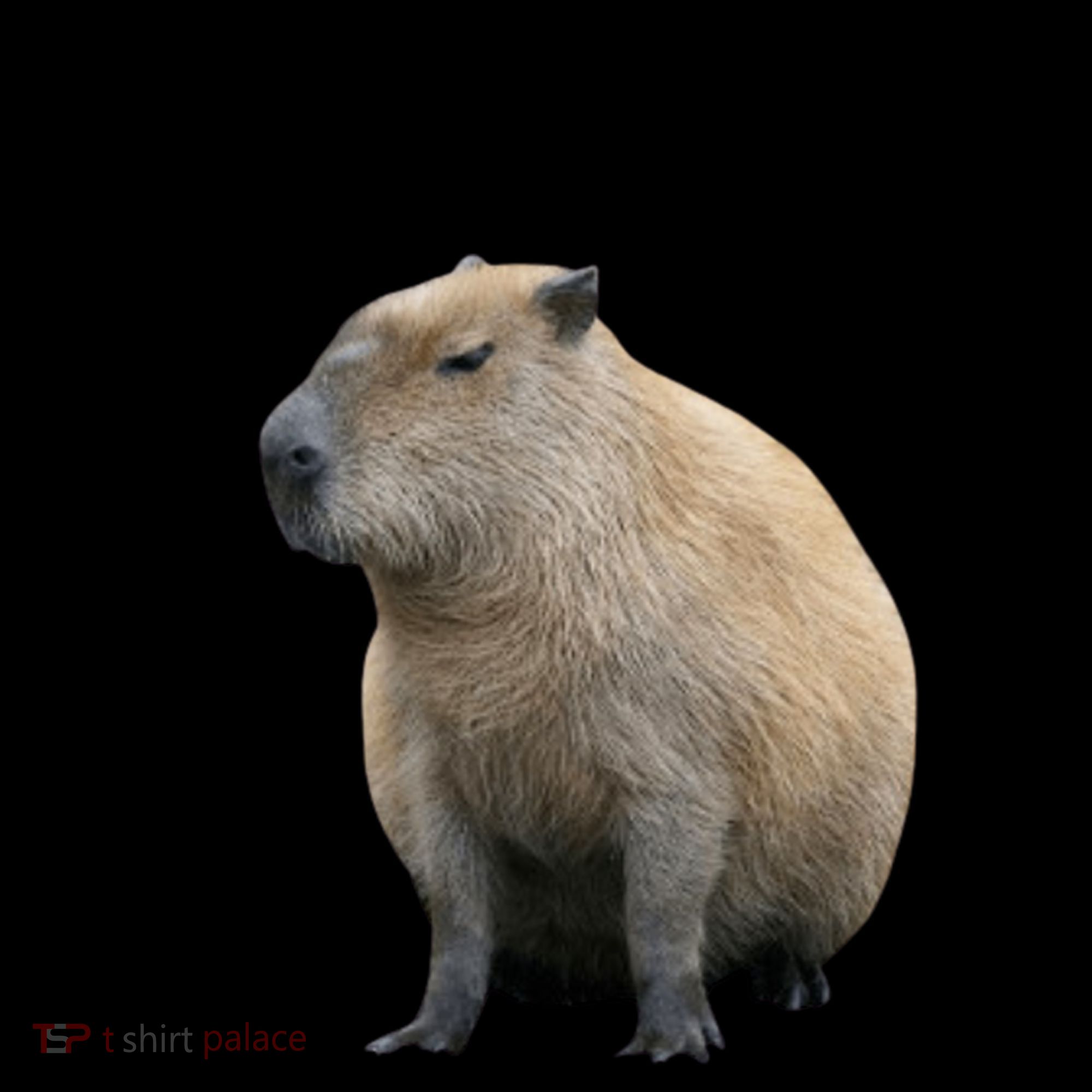 Ok I Pull Up Capybara Funny Coffee Mug