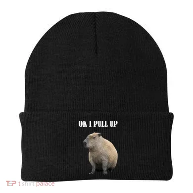 Ok I Pull Up Capybara Funny Beanie