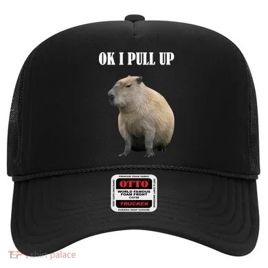 Ok I Pull Up Capybara Funny Hat