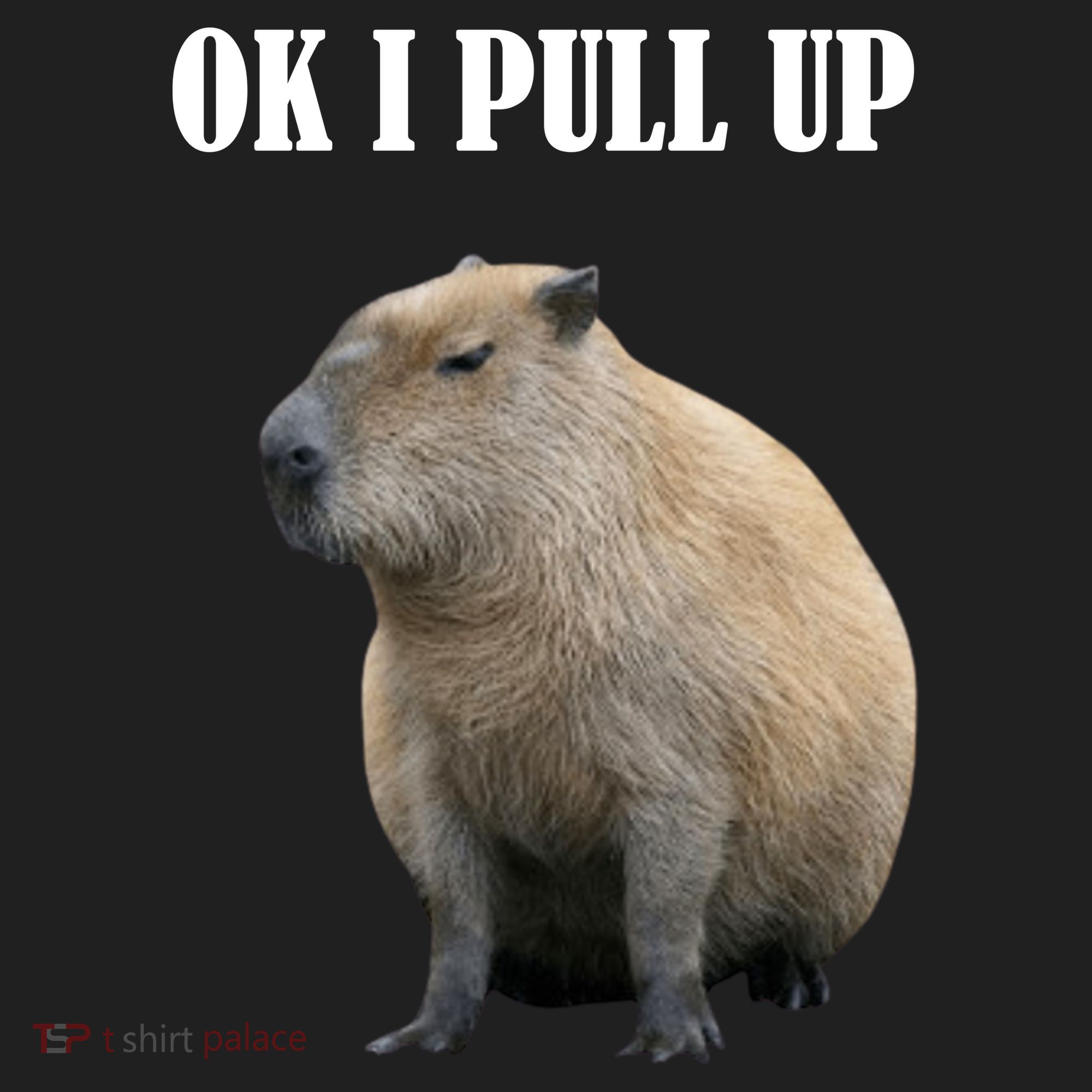 Ok I Pull Up Capybara Funny Golf Towel