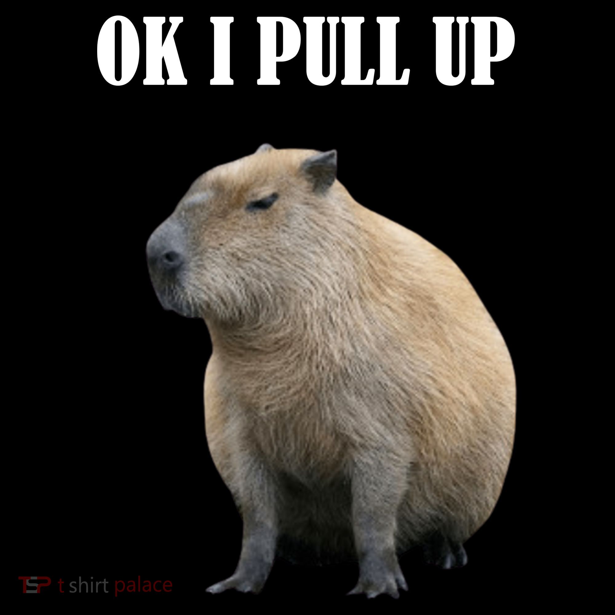 Ok I Pull Up Capybara Funny Women's Long Sleeve Shirt