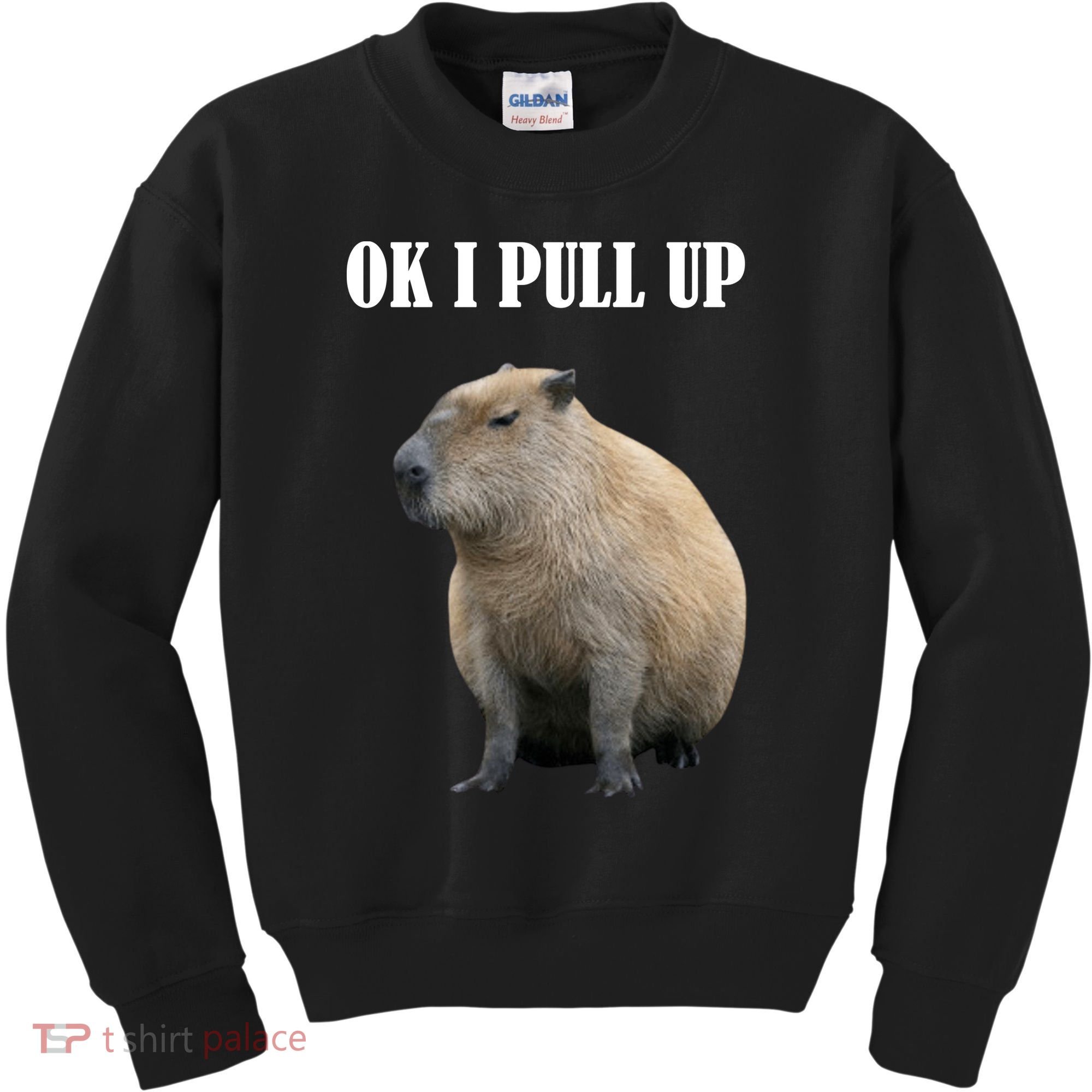 Ok I Pull Up Capybara Funny Kids Sweatshirt