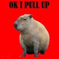 Ok I Pull Up Capybara Funny Santa Hat thumb 1