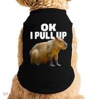 Ok I Pull Up Capybara Funny Capybara Lover Dank Meme Doggie Tank thumb 0