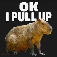 Ok I Pull Up Capybara Funny Capybara Lover Dank Meme Women's Hoodie thumb 2
