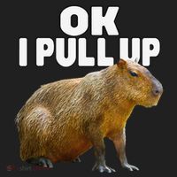 Ok I Pull Up Capybara Funny Capybara Lover Dank Meme Tumbler thumb 3