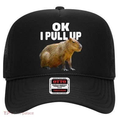 Ok I Pull Up Capybara Funny Capybara Lover Dank Meme Hat