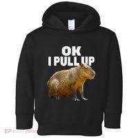 Ok I Pull Up Capybara Funny Capybara Lover Dank Meme Toddler Hoodie thumb 0