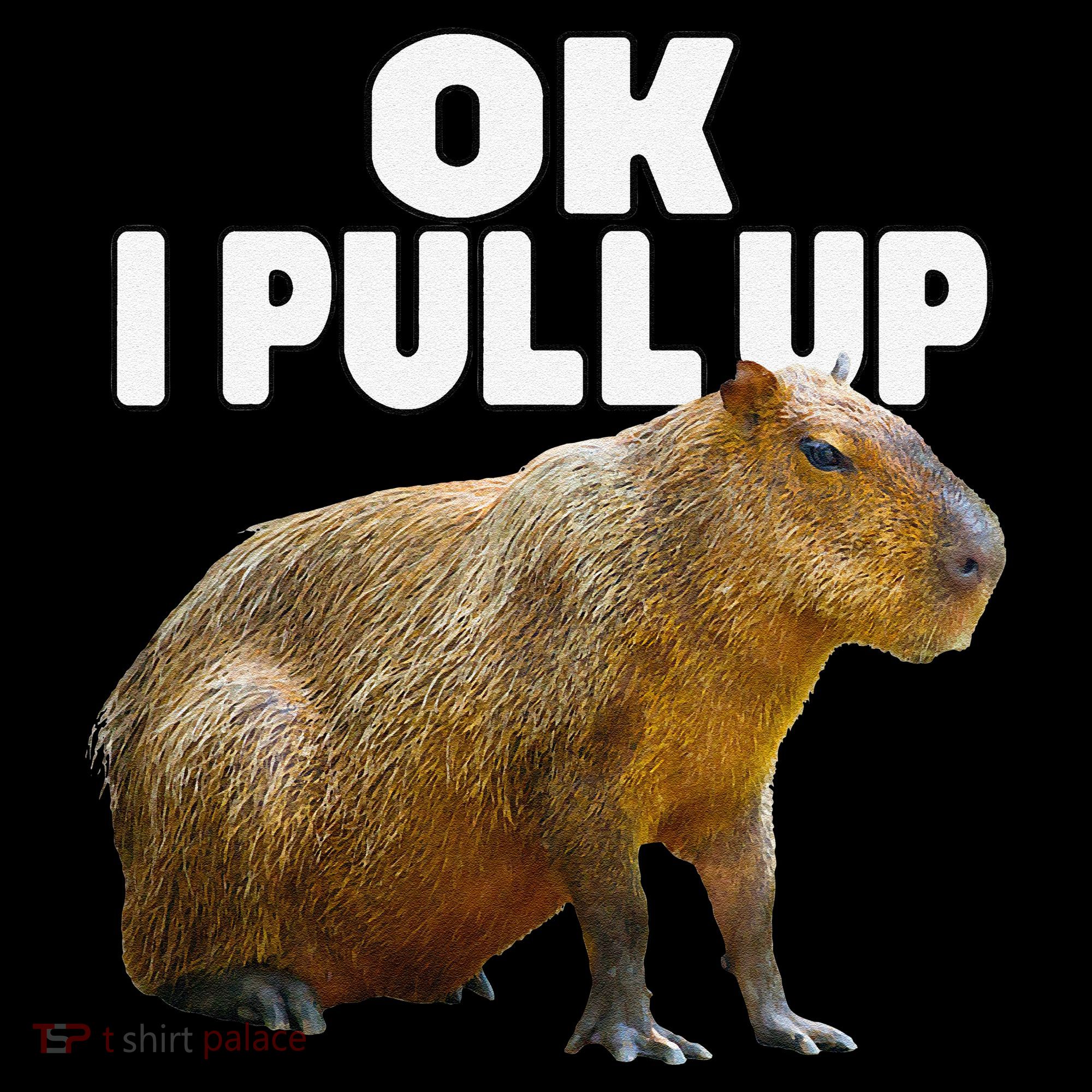 Ok I Pull Up Capybara Funny Capybara Lover Dank Meme Visor