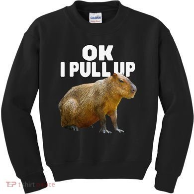 Ok I Pull Up Capybara Funny Capybara Lover Dank Meme Kids Sweatshirt