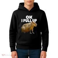 Ok I Pull Up Capybara Funny Capybara Lover Dank Meme Kids Hoodie thumb 4