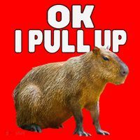 Ok I Pull Up Capybara Funny Capybara Lover Dank Meme Santa Hat thumb 1