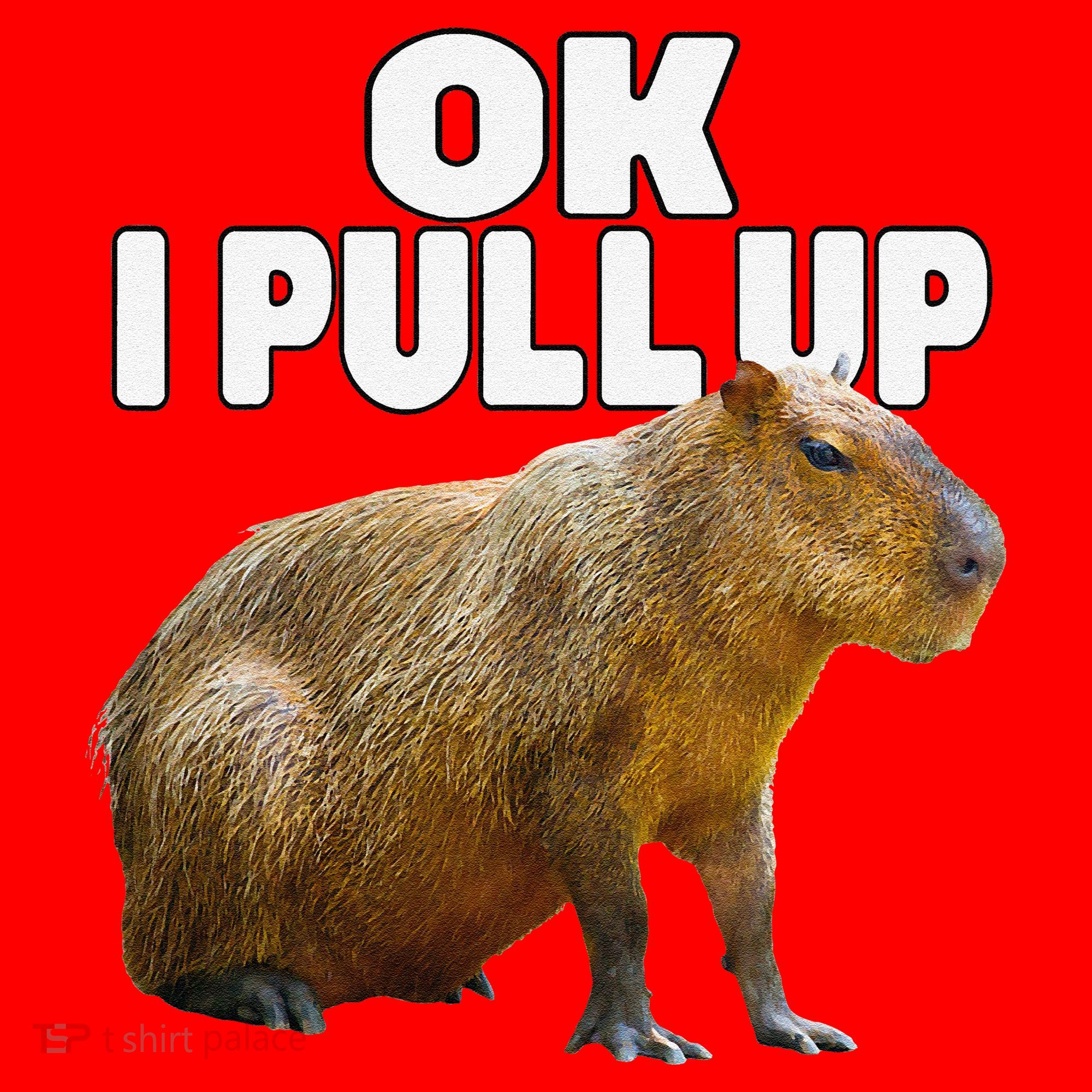 Ok I Pull Up Capybara Funny Capybara Lover Dank Meme Santa Hat