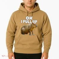 Ok I Pull Up Capybara Funny Capybara Lover Dank Meme Hoodie thumb 2