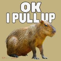 Ok I Pull Up Capybara Funny Capybara Lover Dank Meme Hoodie thumb 7