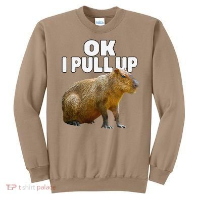 Ok I Pull Up Capybara Funny Capybara Lover Dank Meme Sweatshirt