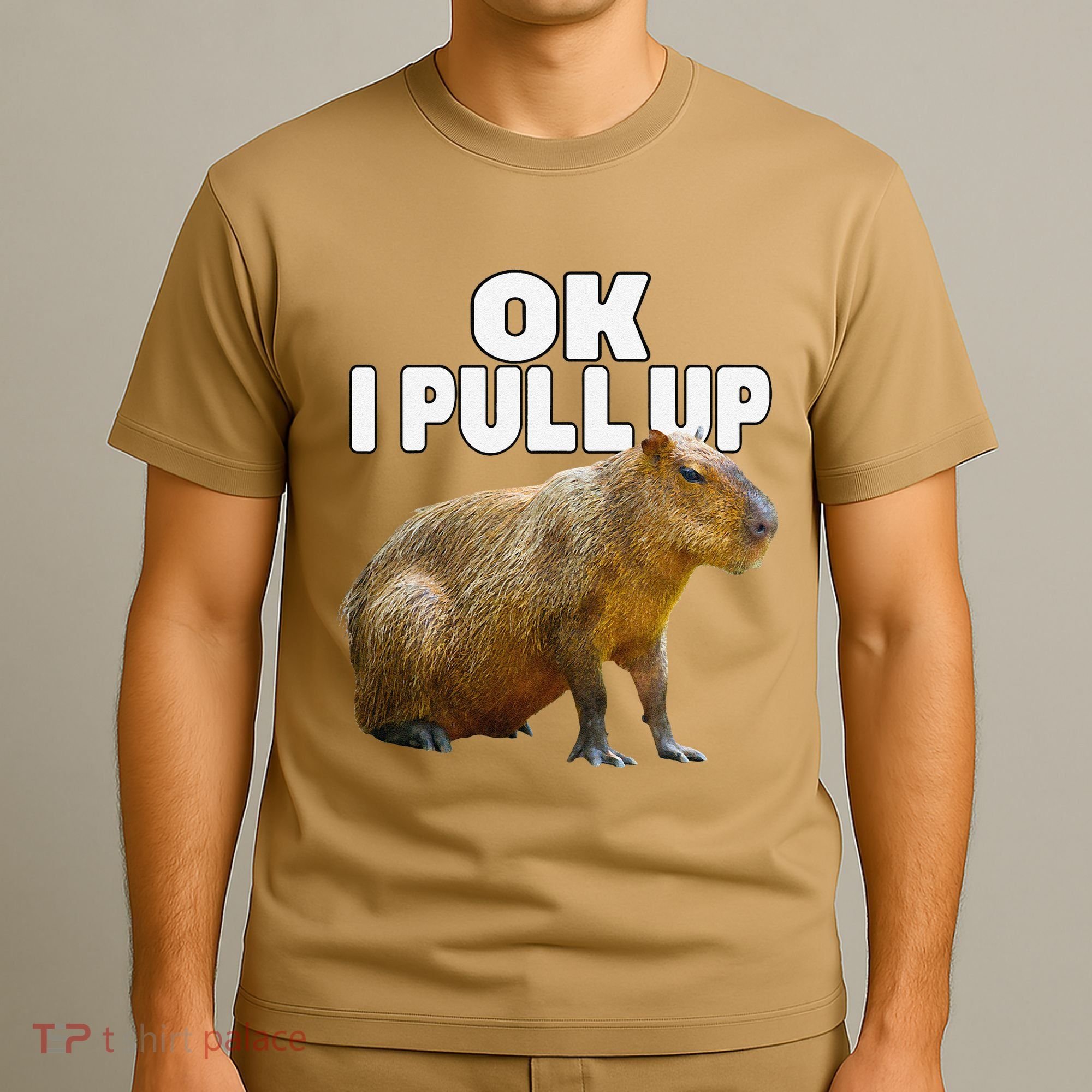 Ok I Pull Up Capybara Funny Capybara Lover Dank Meme T-Shirt