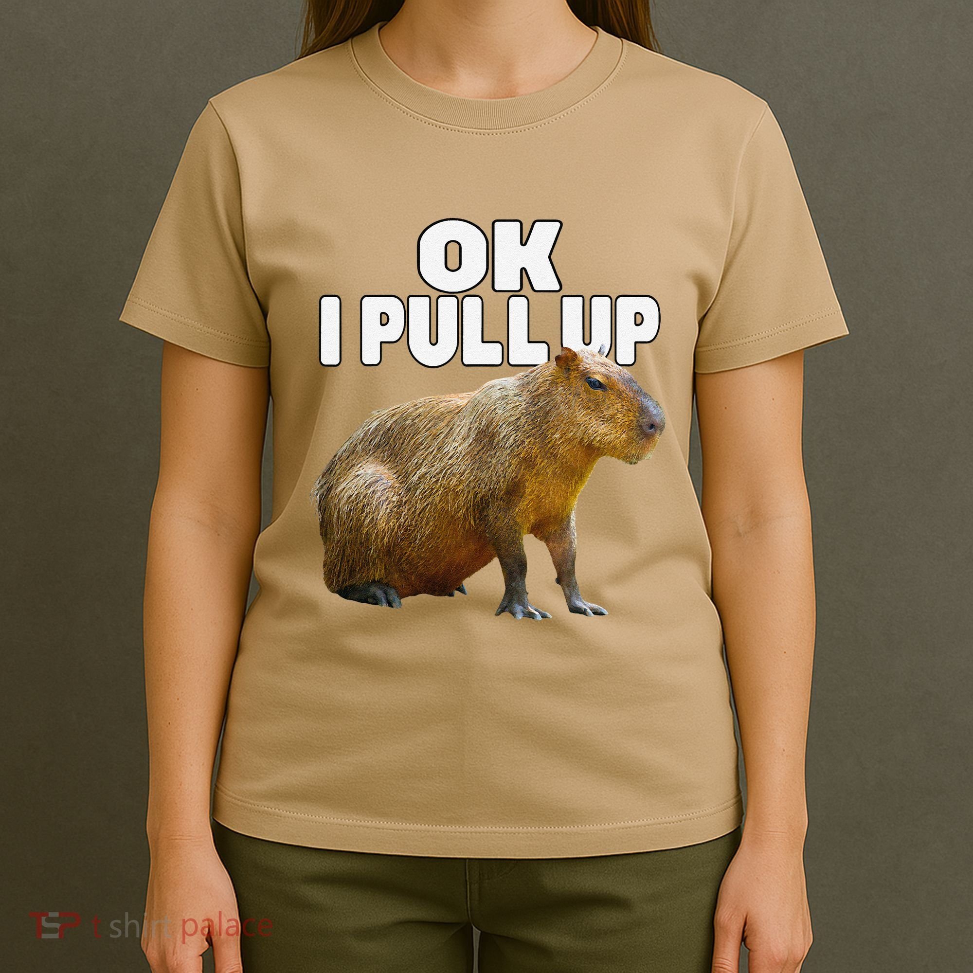 Ok I Pull Up Capybara Funny Capybara Lover Dank Meme T-Shirt