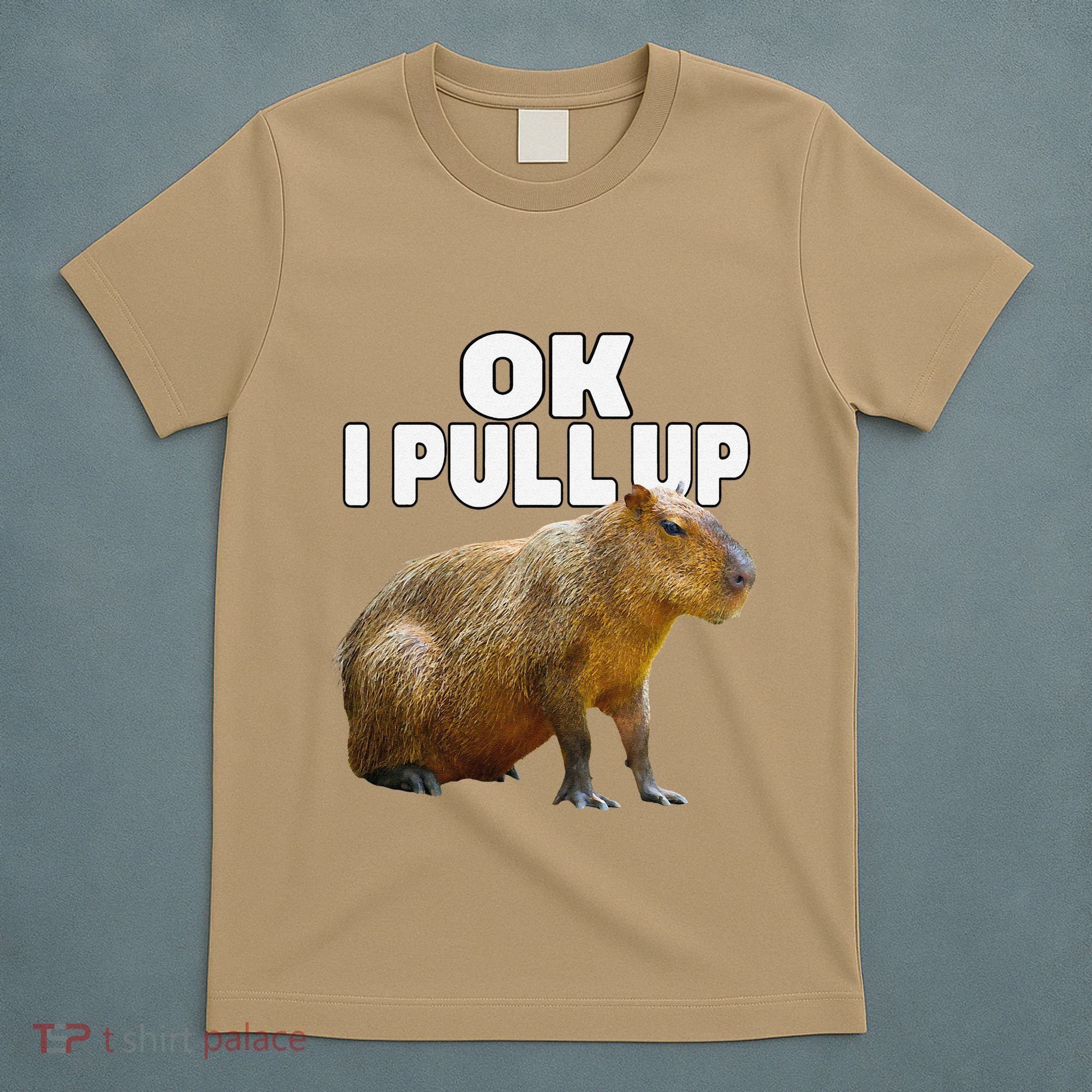 Ok I Pull Up Capybara Funny Capybara Lover Dank Meme T-Shirt