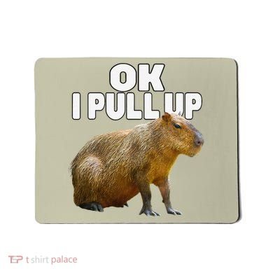 Ok I Pull Up Capybara Funny Capybara Lover Dank Meme Mousepad