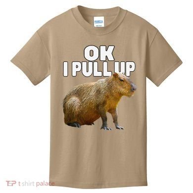 Ok I Pull Up Capybara Funny Capybara Lover Dank Meme Kids T-Shirt