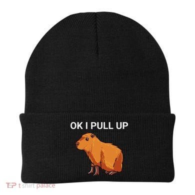Ok I Pull Up Funny Capybara Dank Meme Beanie