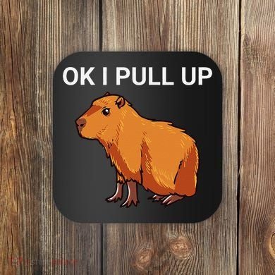 Ok I Pull Up Funny Capybara Dank Meme Coaster