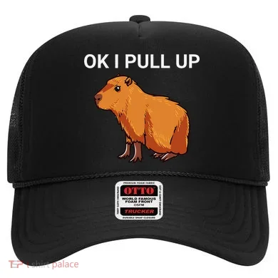 Ok I Pull Up Funny Capybara Dank Meme Hat