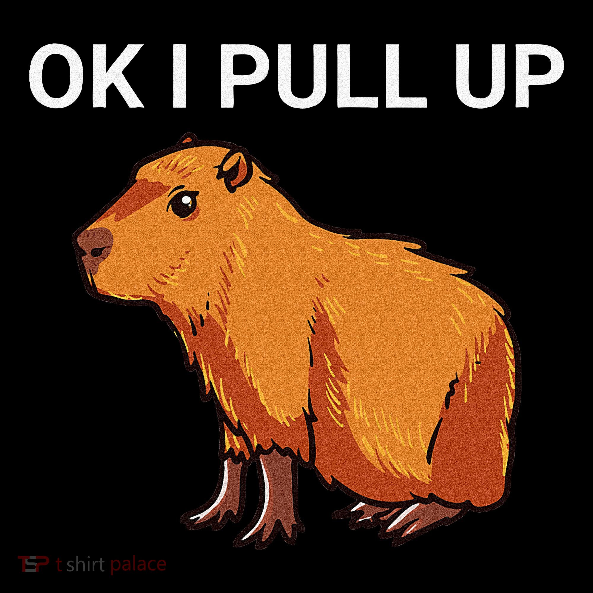 Ok I Pull Up Funny Capybara Dank Meme Women's Long Sleeve Shirt