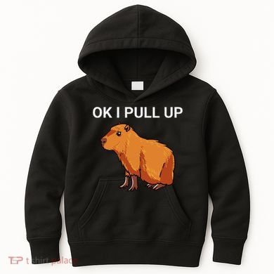 Ok I Pull Up Funny Capybara Dank Meme Kids Hoodie