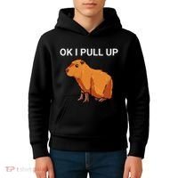 Ok I Pull Up Funny Capybara Dank Meme Kids Hoodie thumb 4
