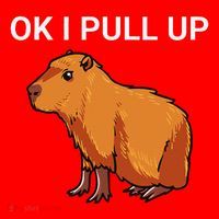 Ok I Pull Up Funny Capybara Dank Meme Santa Hat thumb 1