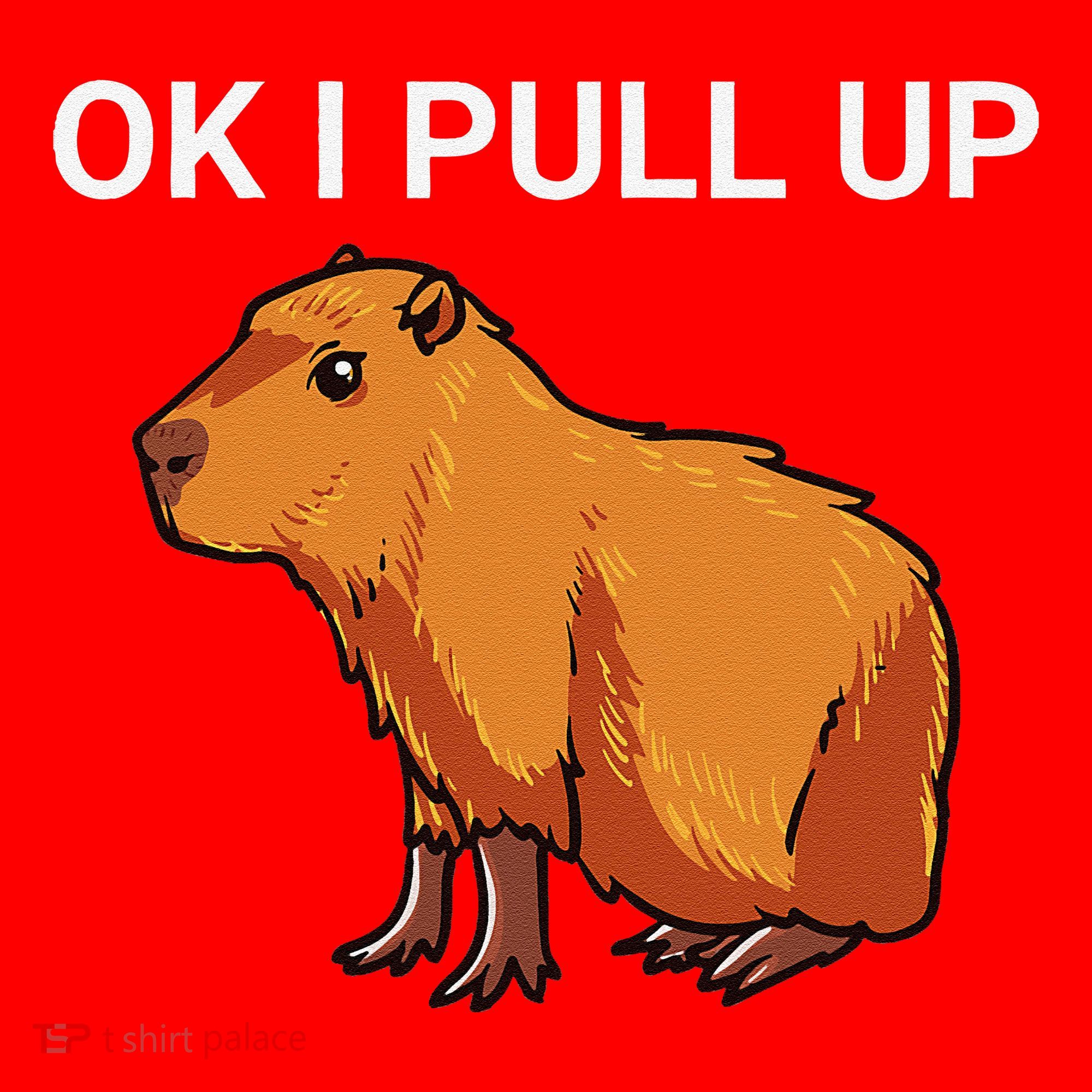Ok I Pull Up Funny Capybara Dank Meme Santa Hat