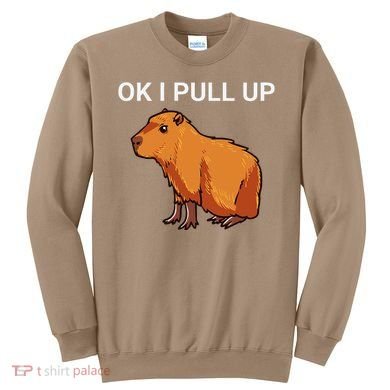 Ok I Pull Up Funny Capybara Dank Meme Sweatshirt