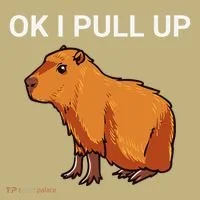 Ok I Pull Up Funny Capybara Dank Meme Sweatshirt thumb 2