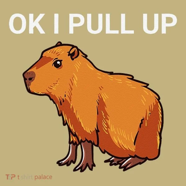 Ok I Pull Up Funny Capybara Dank Meme Sweatshirt