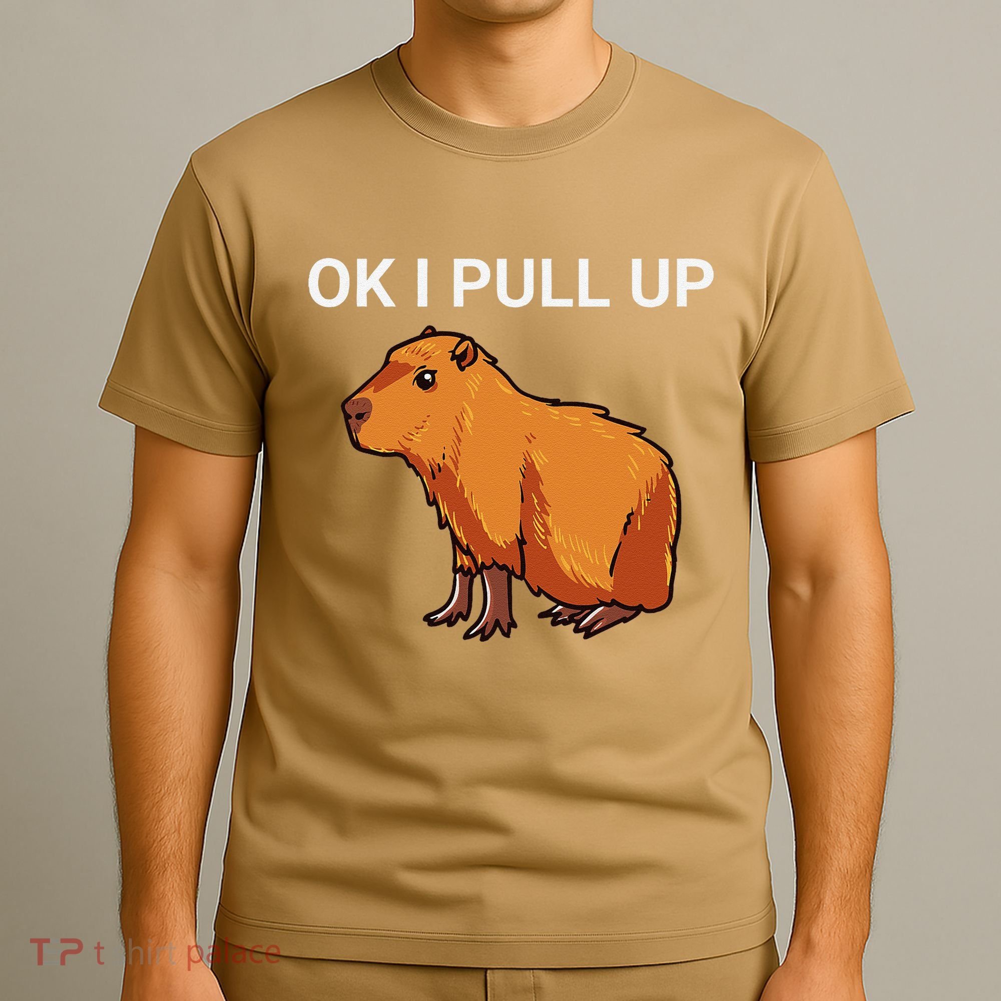 Ok I Pull Up Funny Capybara Dank Meme T-Shirt