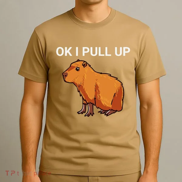 Ok I Pull Up Funny Capybara Dank Meme T-Shirt