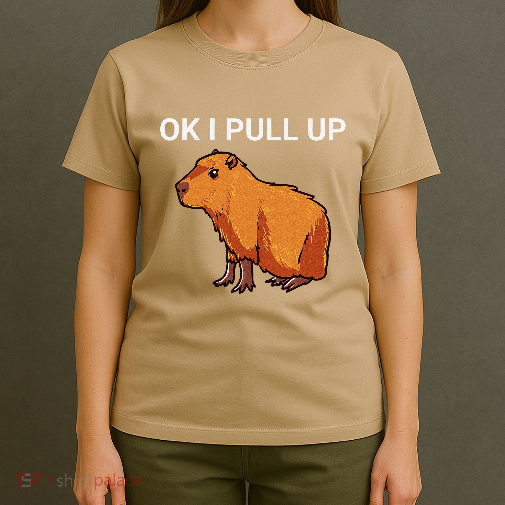 Ok I Pull Up Funny Capybara Dank Meme T-Shirt