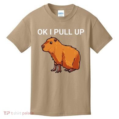 Ok I Pull Up Funny Capybara Dank Meme Kids T-Shirt
