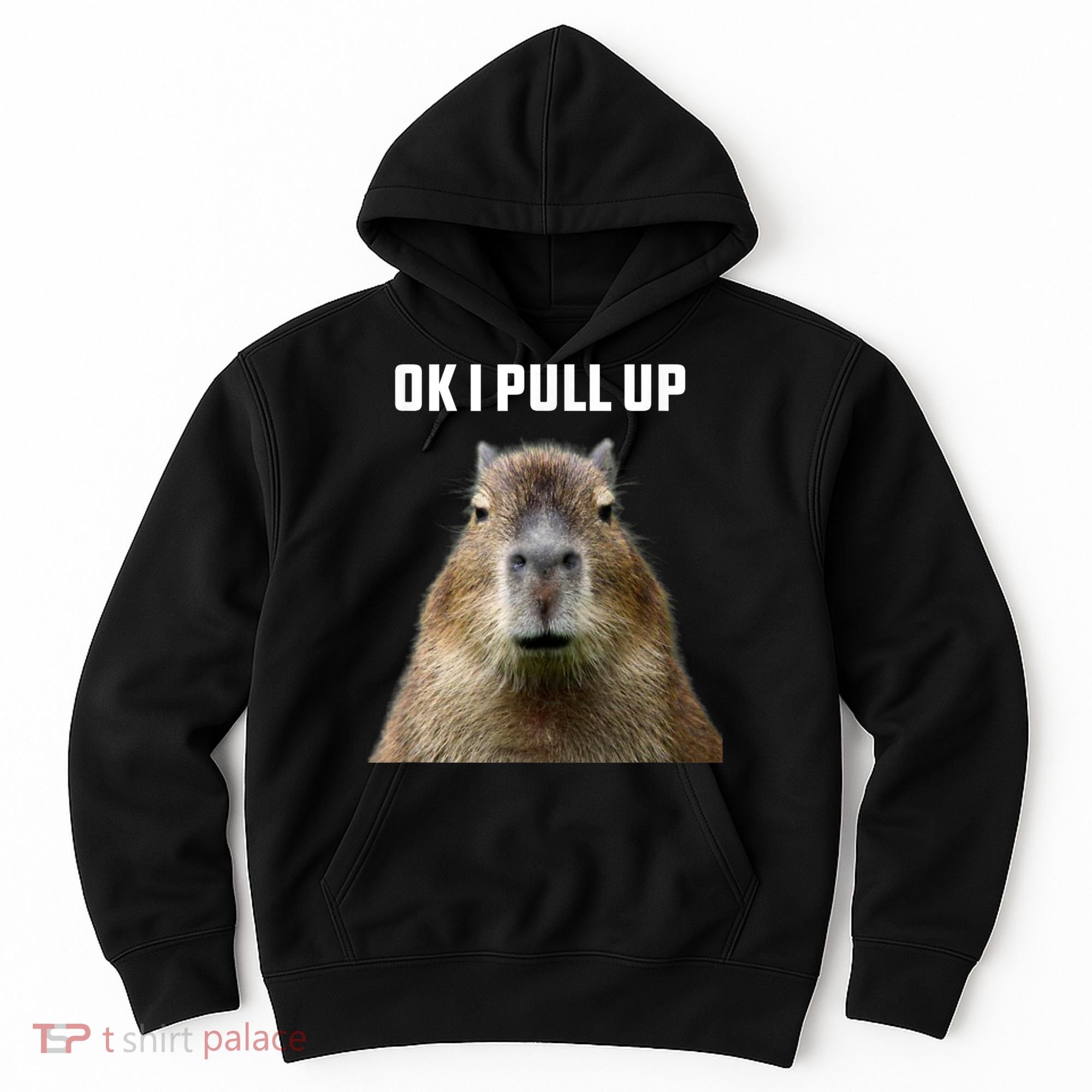 Ok I Pull Up Capybara Hoodie