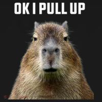 Ok I Pull Up Capybara T-Shirt thumb 7