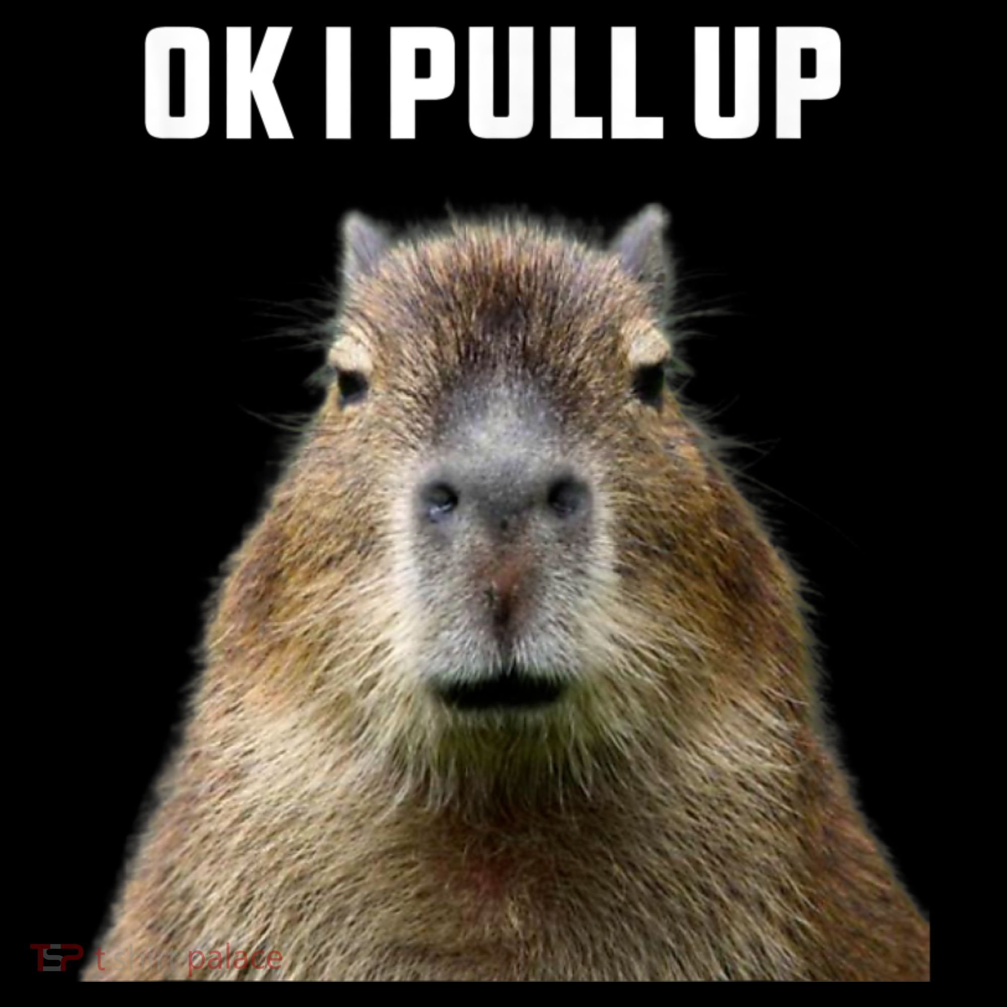 Ok I Pull Up Capybara Backpack