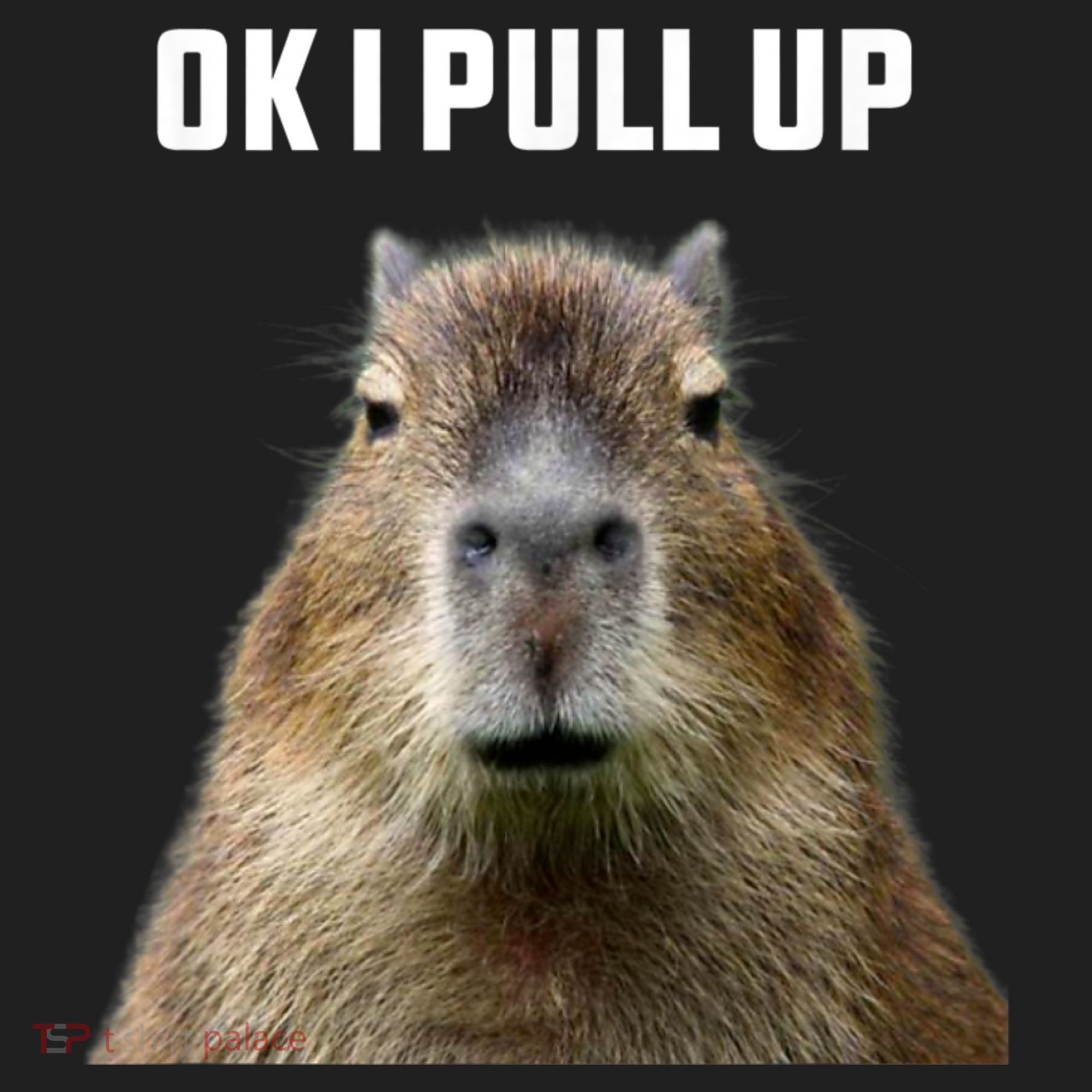Ok I Pull Up Capybara Tumbler